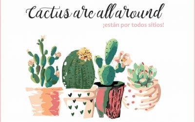 ¡Cactus por todos sitios!